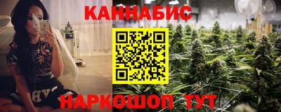 крисы Брянск